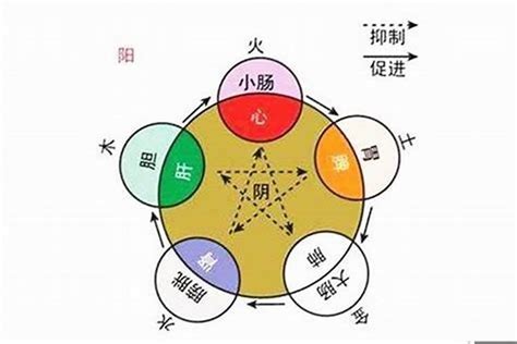 赌博业 五行|赌业五行属什么属性